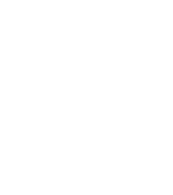Base Pile & Anchor